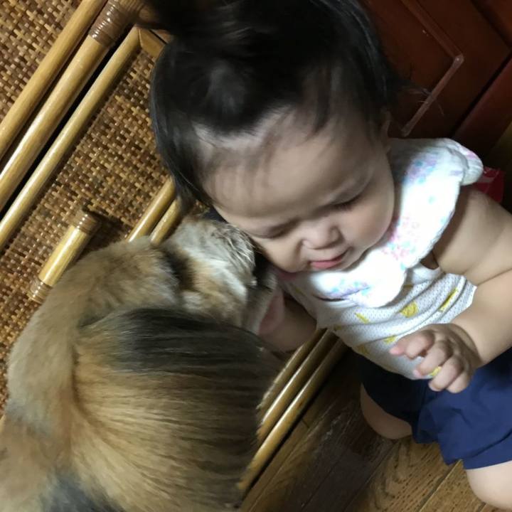 D0e1b29d 37e6 4334 93b8 72ba8317ee35 1563718285553