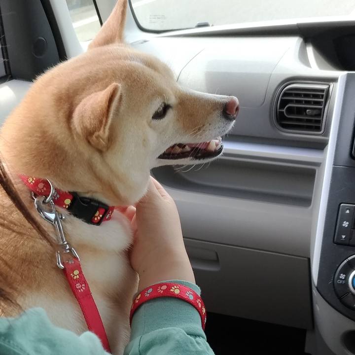 D0e1e458 b906 41df a2b1 707ff0cb1c51 1600744100878