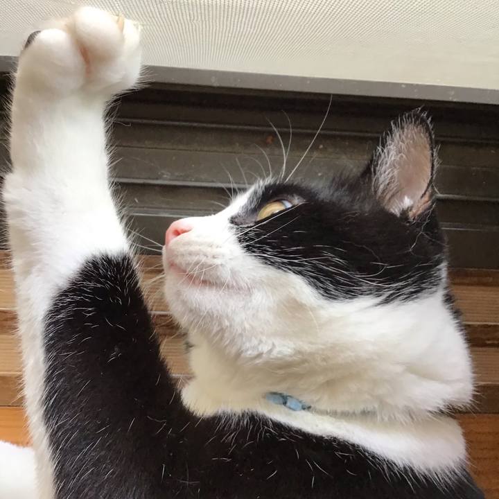 D0e1ea3e 43d7 4a81 bf12 2c98ec2f76ca 1722596328005