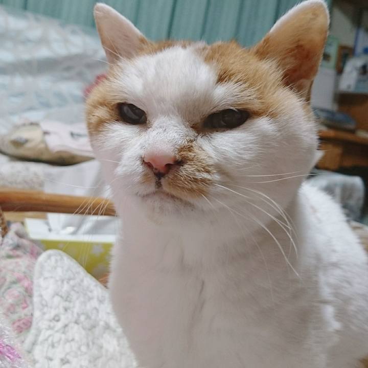 D0e1ec13 2e16 447e bf88 d7d50c755d06 1578182724108