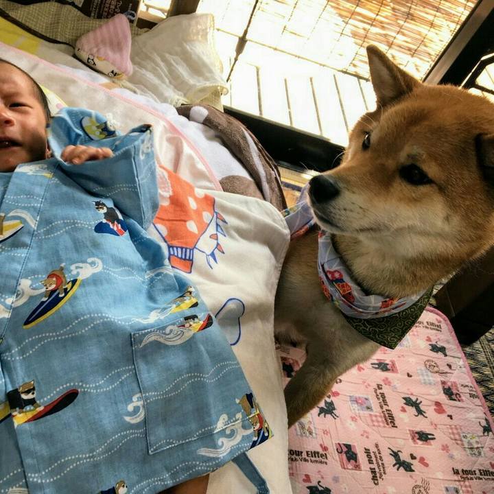 D0e229ce 0df9 4400 af69 8457255f6af2 1531894877266