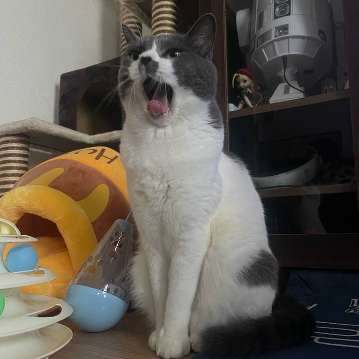 D0e231d3 cba2 4be5 81ff c901b786ddc4 1692610179492