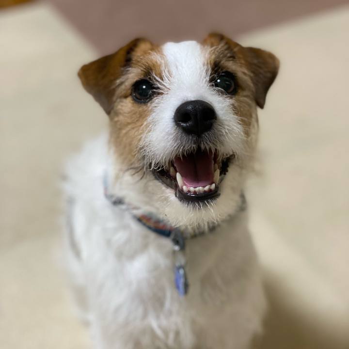 D0e2a671 39f1 49b7 a765 b623f49b45d9 1742250762902