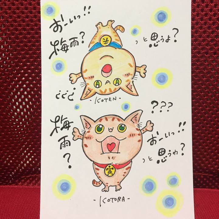 D0e2a9ef 88d8 4578 bea9 7ea05347ae8c 1560778016725