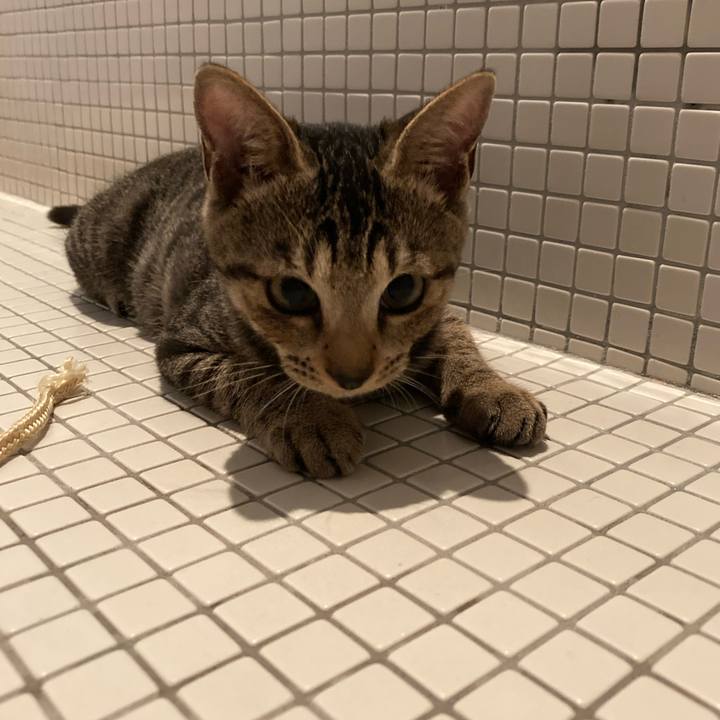 D0e2e4e1 a8d0 4bad a7cc 9311ab66c3b6 1663455804798