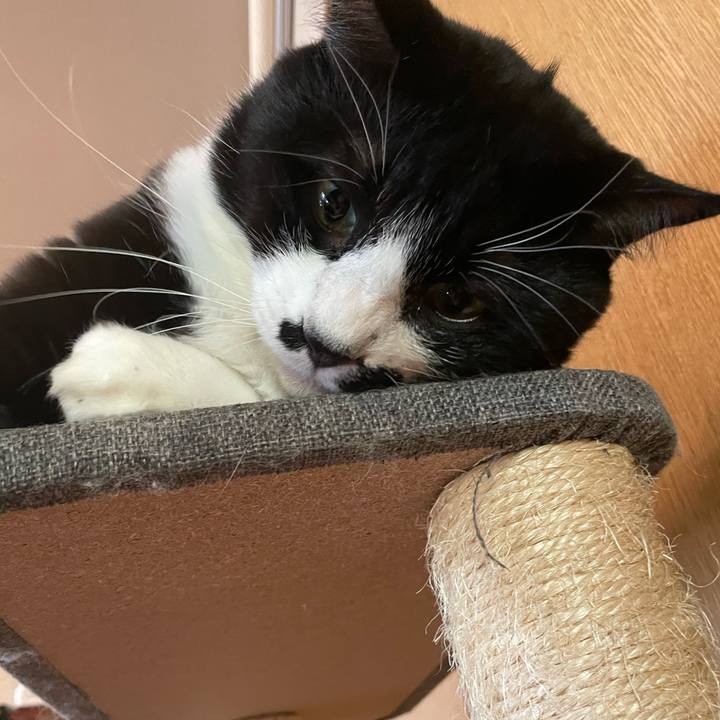 D0e2fa7c 2474 492f a34d d61b6103b570 1733362879089