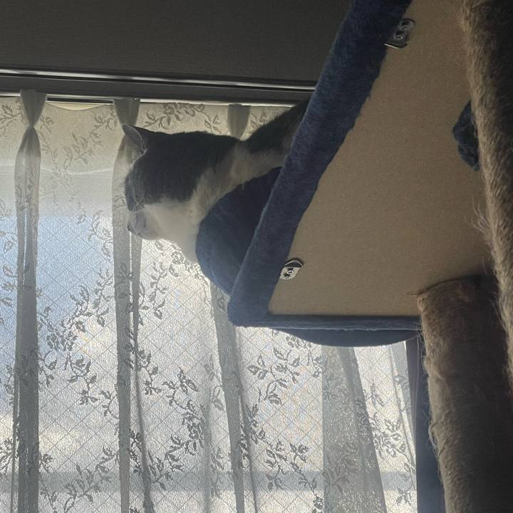 D0e330cb c665 478f 9b58 274d055aaf43 1739946361409