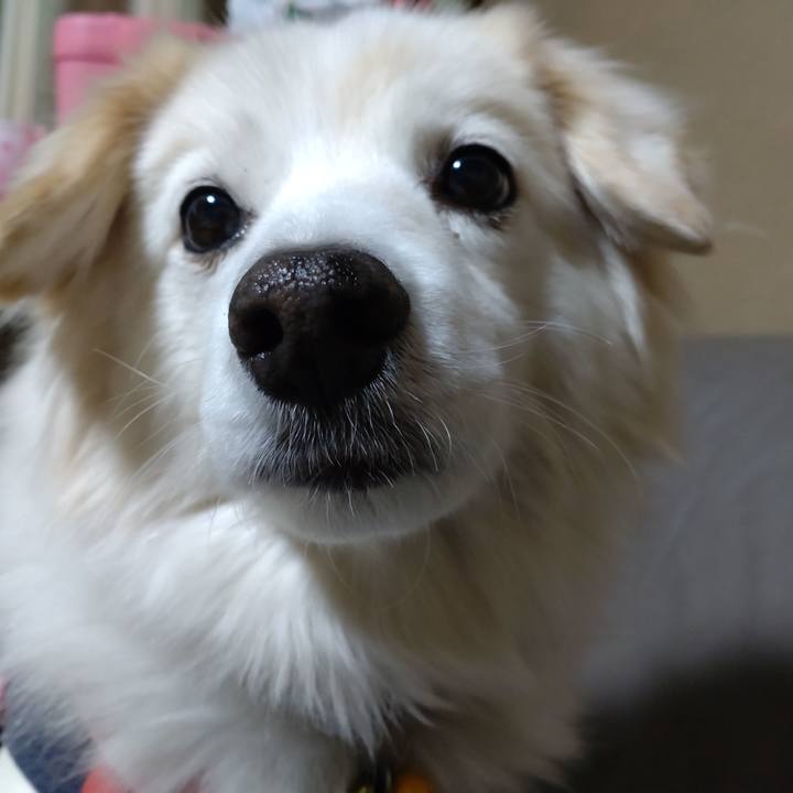 D0e33ce6 f6f3 4fe8 bce0 2f1143970861 1643577590192