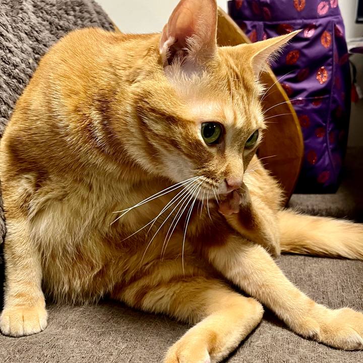 D0e36e0f 0590 4ce3 8c43 bef7405c8871 1651008521116