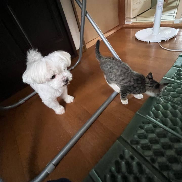 D0e38a84 4249 40d6 8bac a6fc0d564cb7 1688188964181