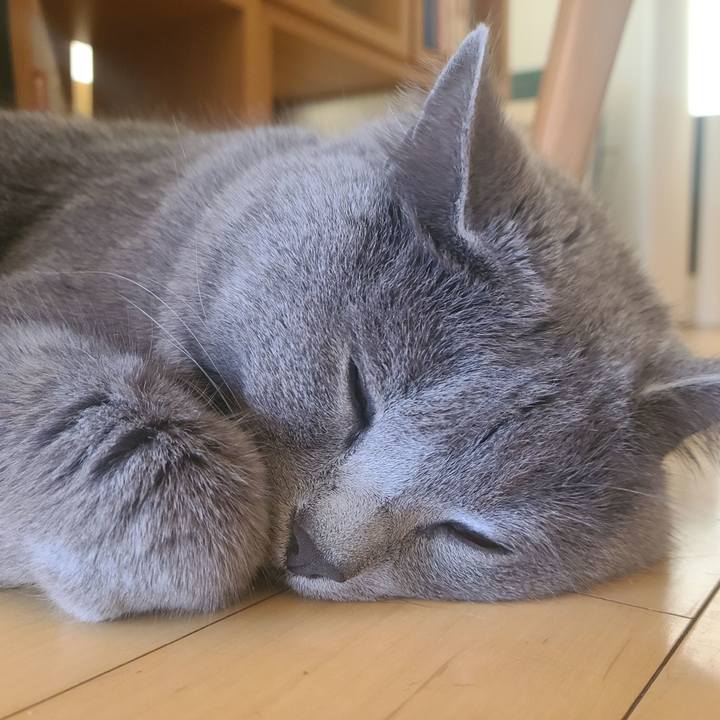 D0e39ab3 3fc7 43d7 acb9 97b444eefcbb 1637894552254