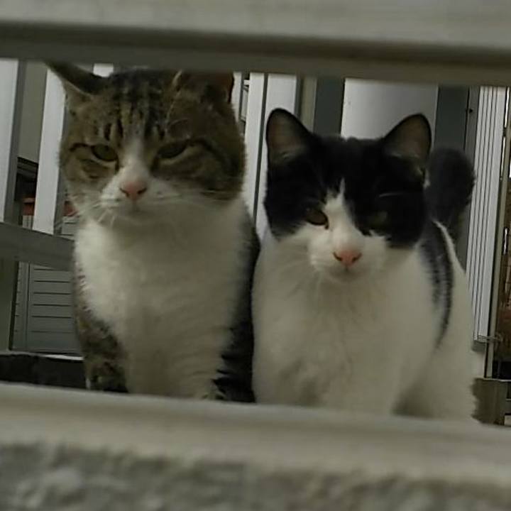 D0e3a6d4 35a1 468c 8745 7b71378f6179 1545798946729