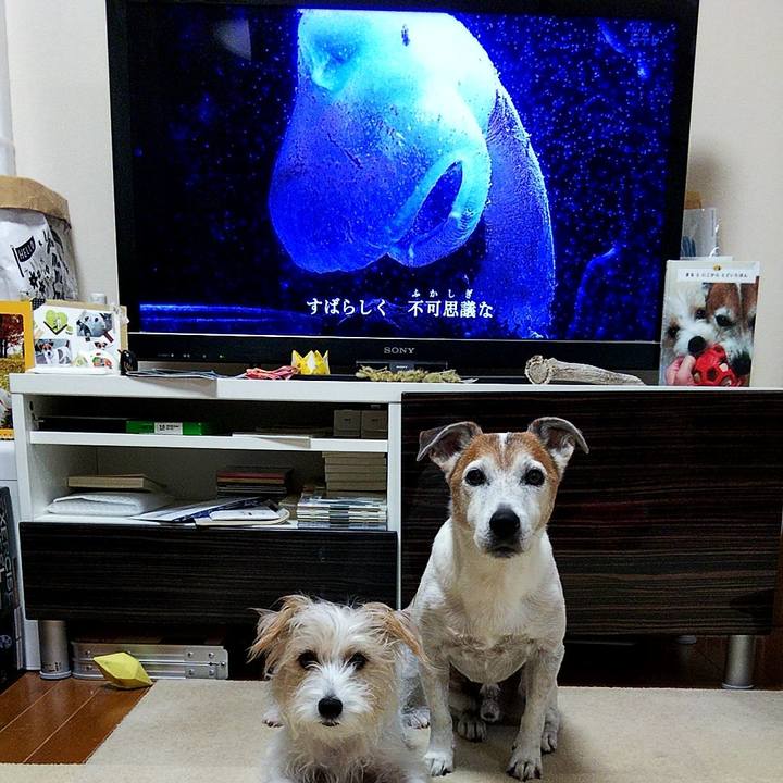 D0e3db62 3c94 42c6 b92a 85d38532aa5f 1571784461445