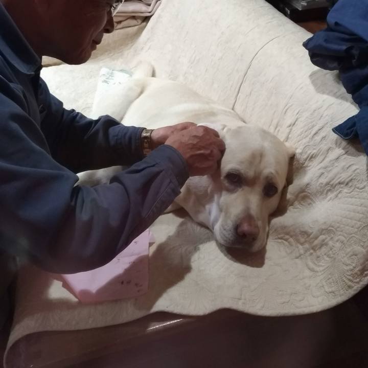 D0e3dd4c 3267 4d39 bba1 47bba4d81e35 1640273600100