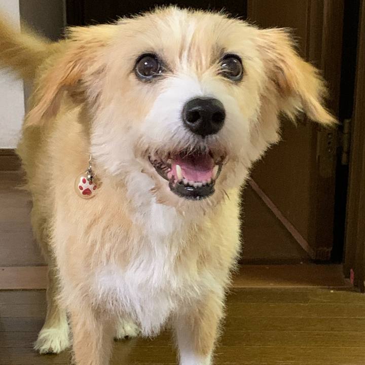 D0e407ee c49d 49b1 b762 3ac517ccb8d7 1597791067500