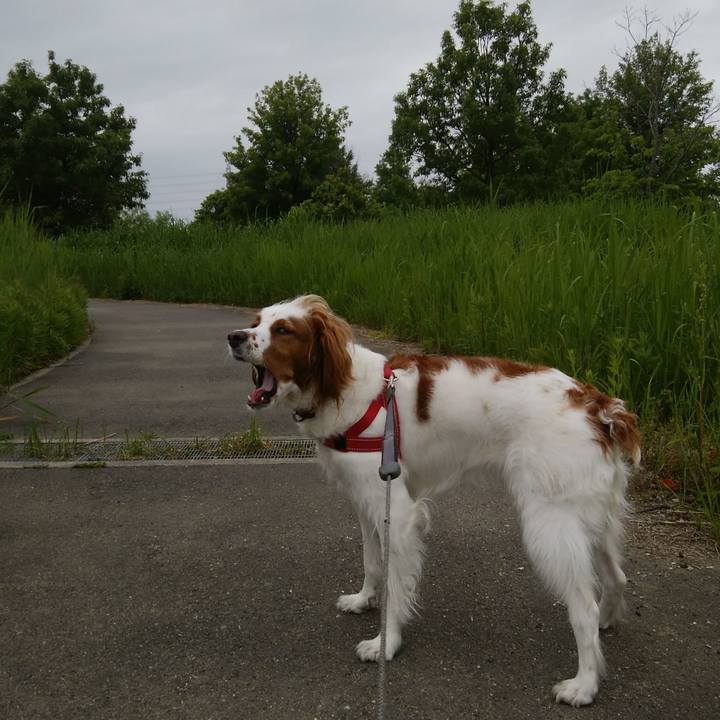 D0e40859 f1d2 4f4b adb8 6e1e1885e967 1526173341776