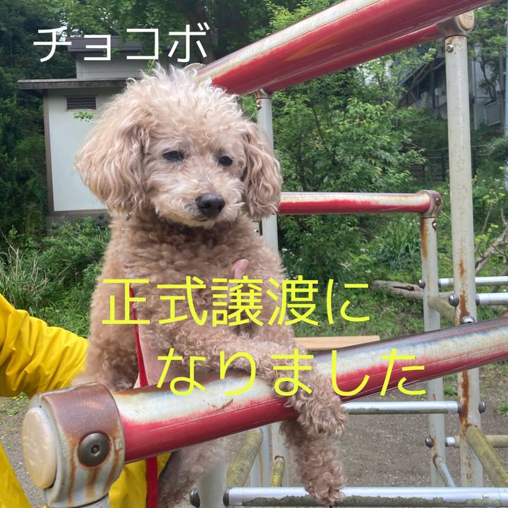 D0e41816 efb3 4ca2 afe2 dbd97d8f3bda 1624353606992