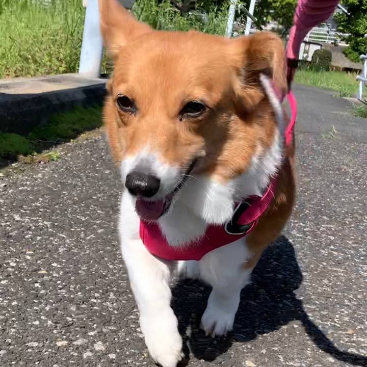 D0e442a5 91ce 4f6d 850d 37bca7c2b7ce 1683072708519