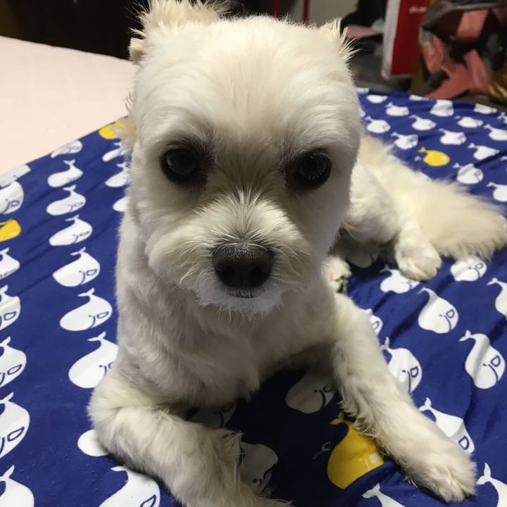 D0e475bc 4fb4 47f9 b9e1 b0ee78d8dfe4 1530793131945