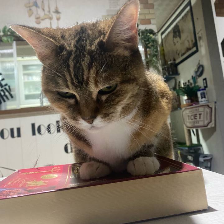 D0e47fcc 713c 42c9 a21e 6970d1b3db20 1752419209456