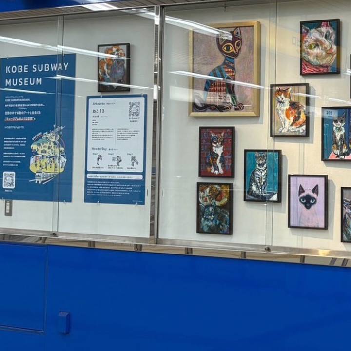 D0e4b907 353c 4a50 ad3b d63a35ce4ad4 1769574649265