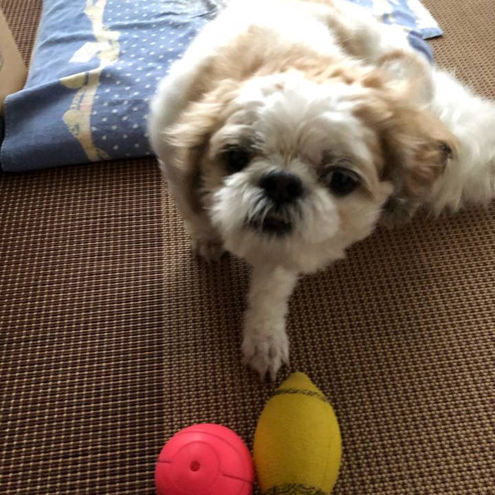 D0e4c3a1 d031 46b2 8416 eacf03d1756a 1570857371315