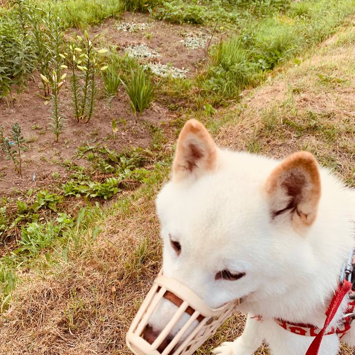 D0e4fb2e 7972 499f 8ede 058945af746b 1562618227114