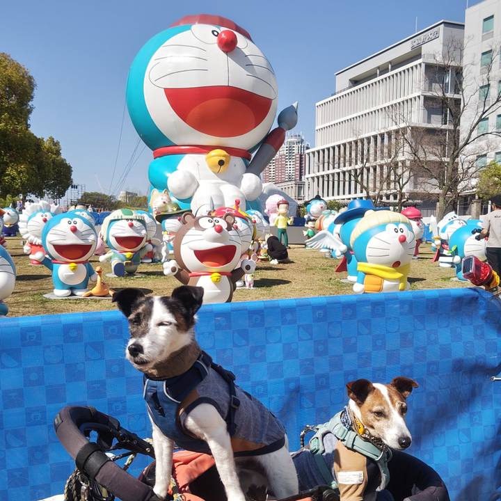 D0e50b58 88cd 40fe 925b 1e77dc46bab5 1775177421378