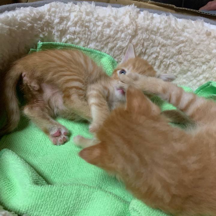 D0e53973 2caa 4c7d b5fd 6b8b1ba7f23f 1570543039338