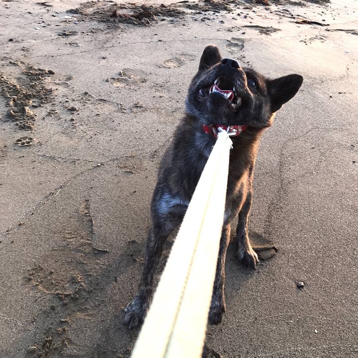 D0e539c1 966d 489f b566 732b5a18942b 1541891024526