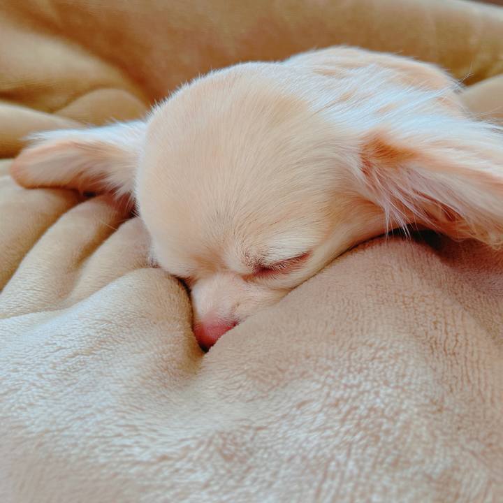 D0e558d4 635a 4ca9 9cf2 dee7c58b6c94 1650244081821