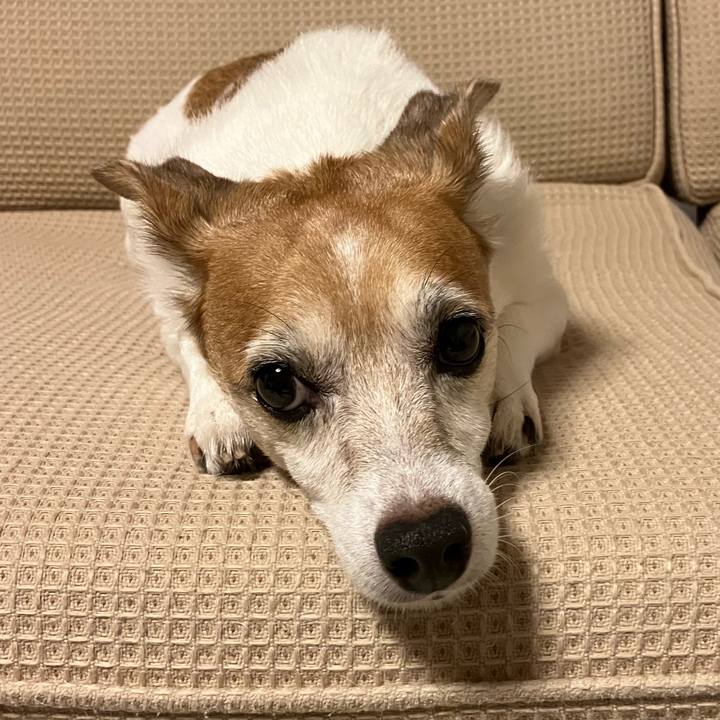 D0e56baa 374e 44a1 855d b5440388c76d 1758455973702