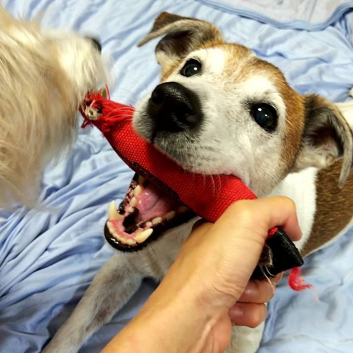 D0e5a3da 63a4 4efa b54d de6f280e7581 1561901579859