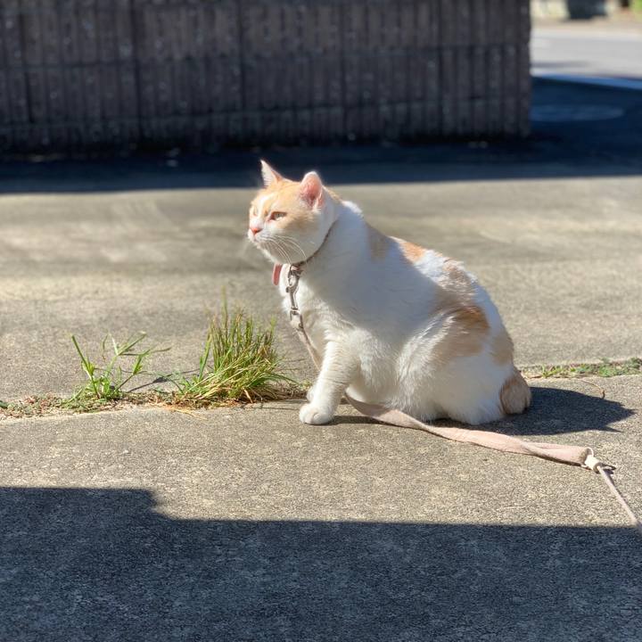 D0e60f1d 0e3c 41cd 81ad 4798e70b14ba 1540168345571