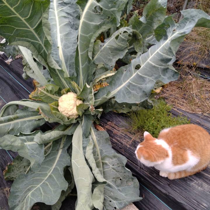 D0e63c81 3ad3 4f8c a2de e20edb87b4fb 1760951550250