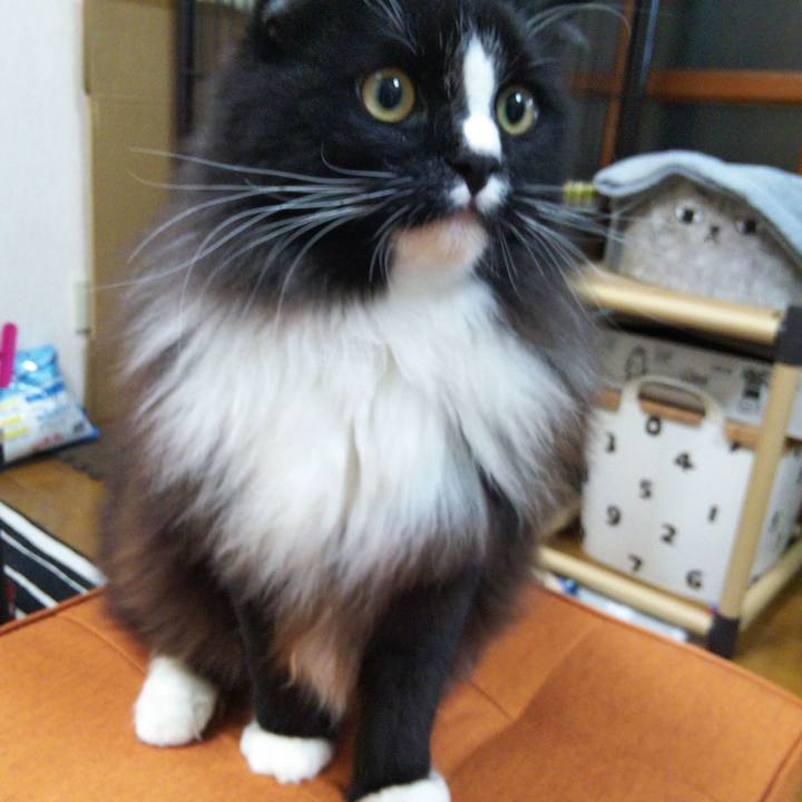 D0e64a19 e58f 4ed1 bd5b 3a170a65bf54 1657284081673