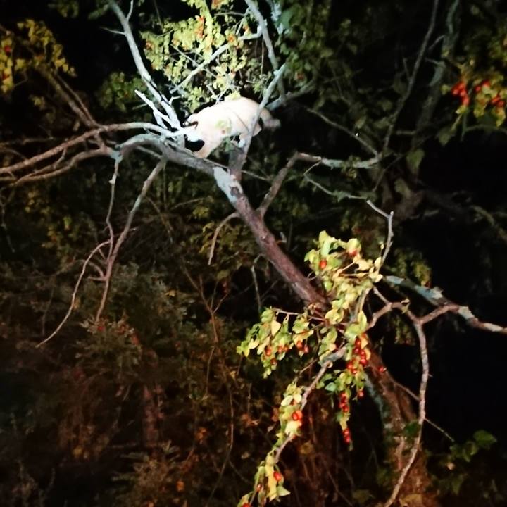 D0e68cc9 695b 4b96 bae3 f50775eb954f 1636111773921