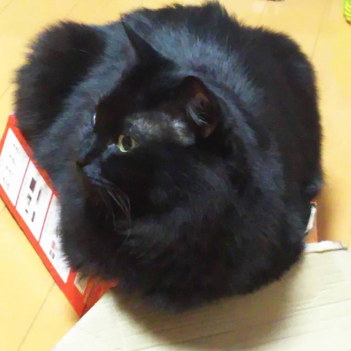 D0e6900f c28f 4da8 a69c a3c9765e40ea 1529245631462