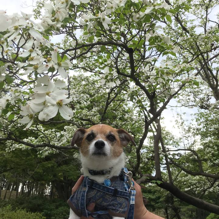 D0e6a00b 0bda 4852 81bc ab77e3615dbf 1556176761617