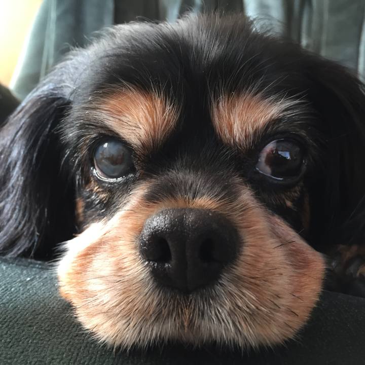 D0e6c664 4fd5 40e8 8e26 02df8dba805f 1601728164175