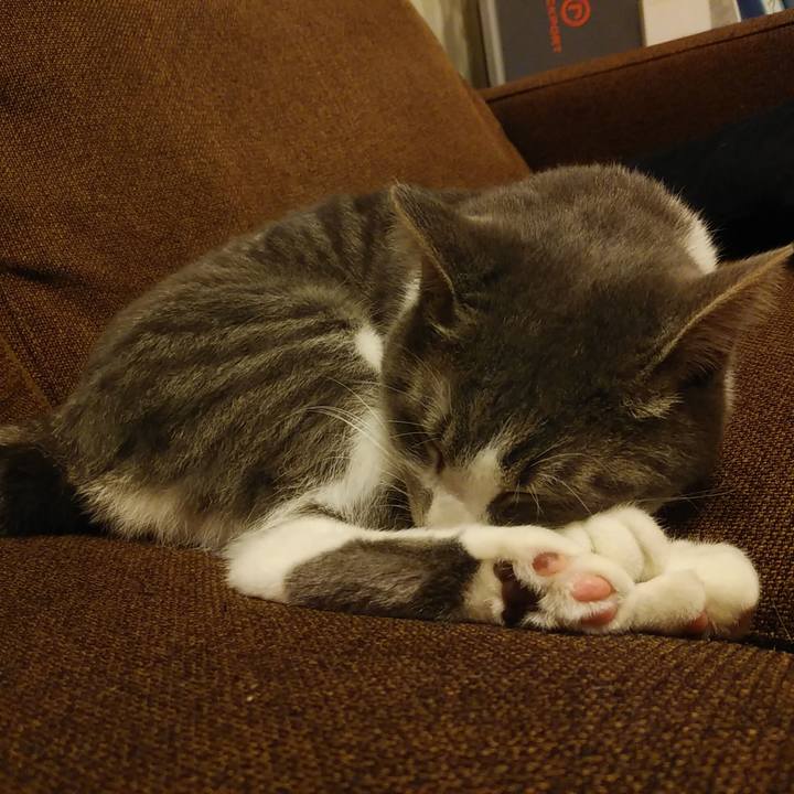 D0e6d286 3e4b 487b 9099 b47dacccd85c 1585928445413