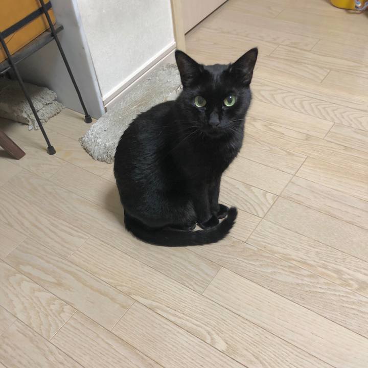 D0e6e4dc bf74 4f2b 8452 a3fa91c48b28 1607608353965