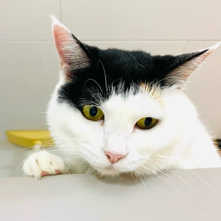 D0e7117d 80d1 4bb0 890d 0efdd306dbe0 1686575195819