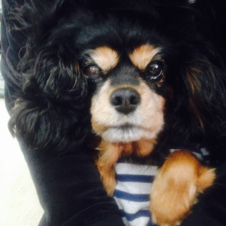 D0e7132c bd3a 44c6 87a7 cc366906da2e 1527335371004