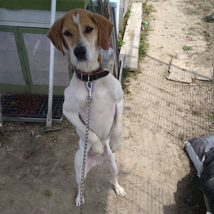 D0e71f37 d4c6 4d0c 9835 8d4f8538b751 1649304194798