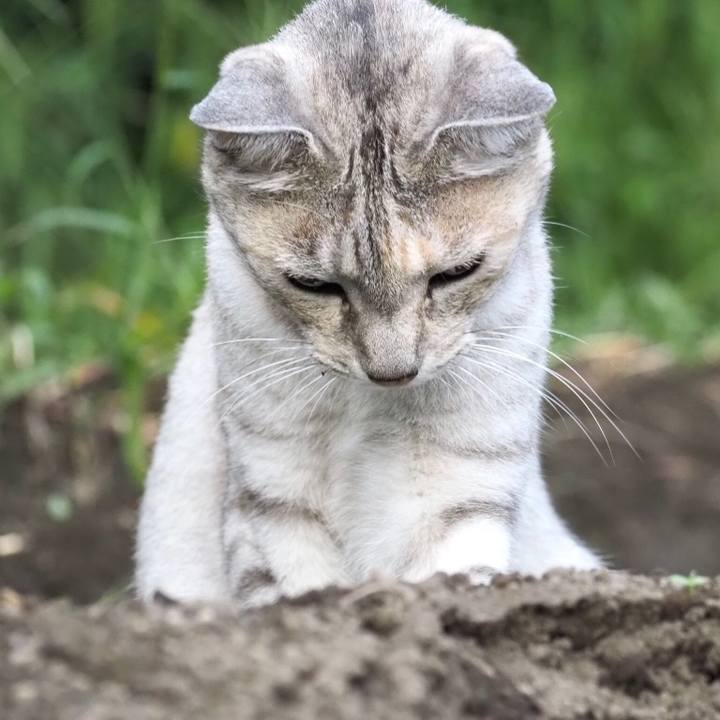 D0e743a1 9cf2 43c4 9959 bab83b3524f8 1765709975557