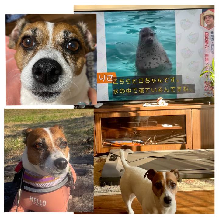 D0e75e53 ed99 496a b149 2efeb38b55e8 1737420433028