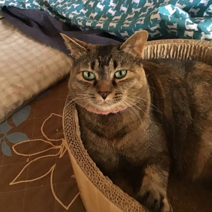 D0e7e39f 51be 4b3b bd77 52ab2fdd24a8 1744194673118