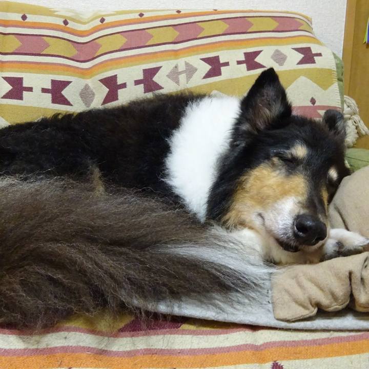 D0e7f8f4 06fd 40be 8bc0 3d814738b718 1573480786897