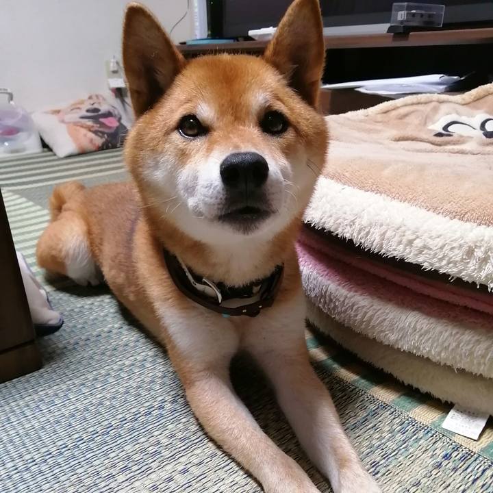 D0e81159 f95d 40bb a5bc 02e5a1fe0fa0 1595076137898